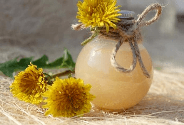 Καλέντουλα